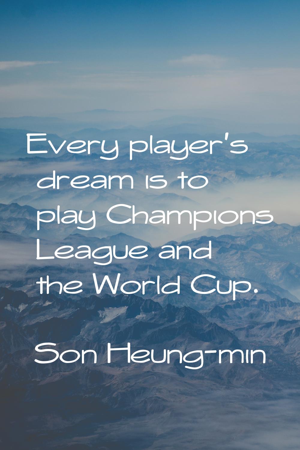 Every player's dream is to play Champions League and the World Cup.