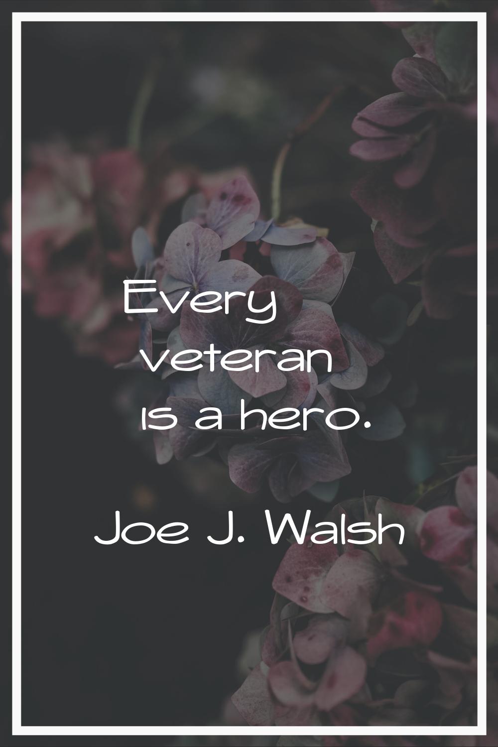 Every veteran is a hero.