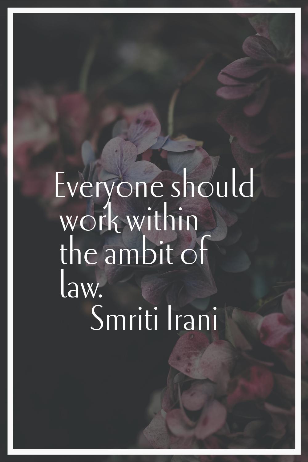 Everyone should work within the ambit of law.