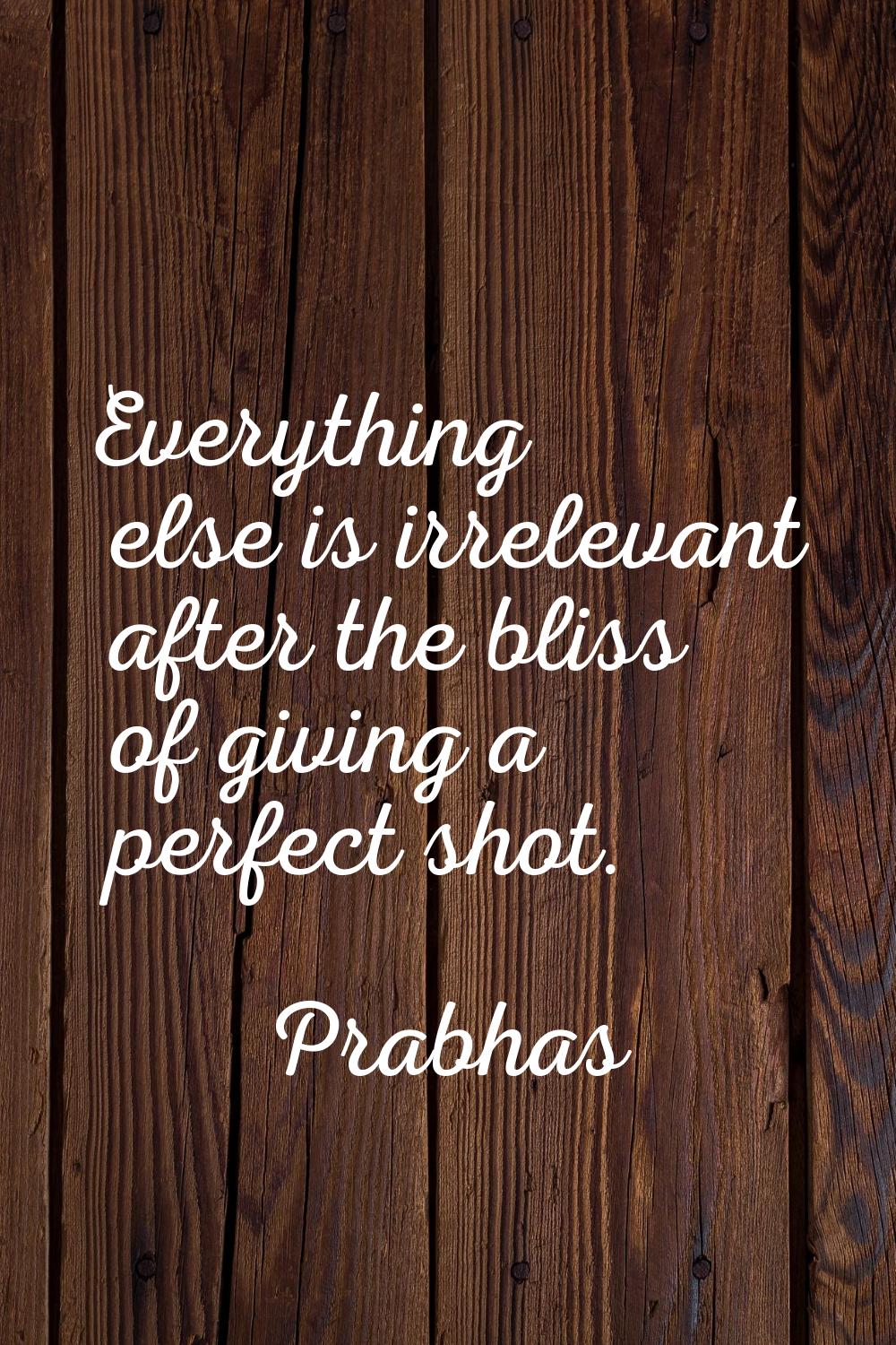Everything else is irrelevant after the bliss of giving a perfect shot.