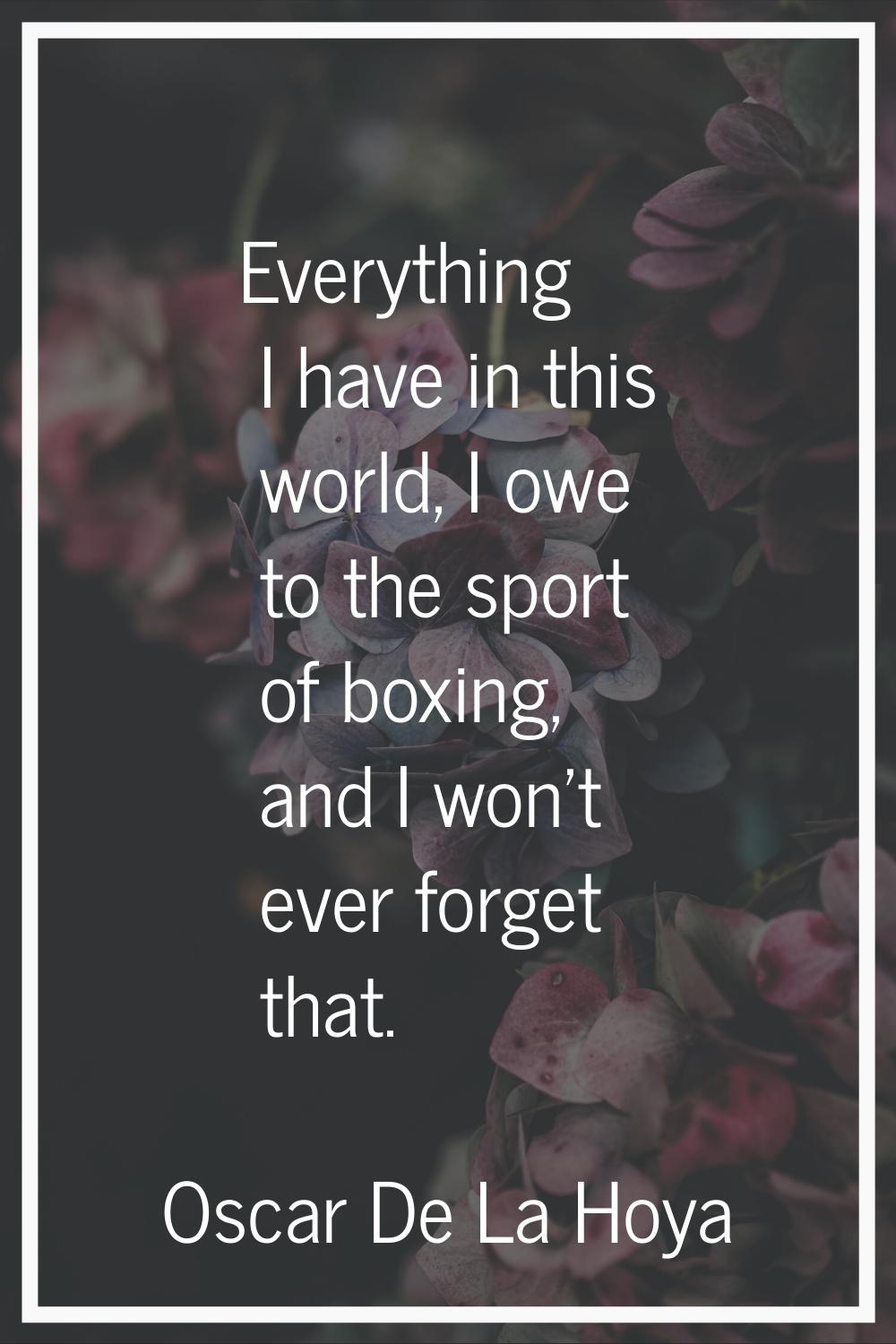 Everything I have in this world, I owe to the sport of boxing, and I won't ever forget that.