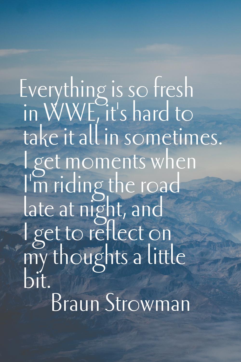 Everything is so fresh in WWE, it's hard to take it all in sometimes. I get moments when I'm riding