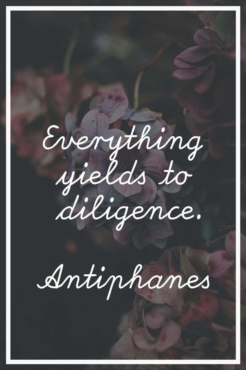 Everything yields to diligence.