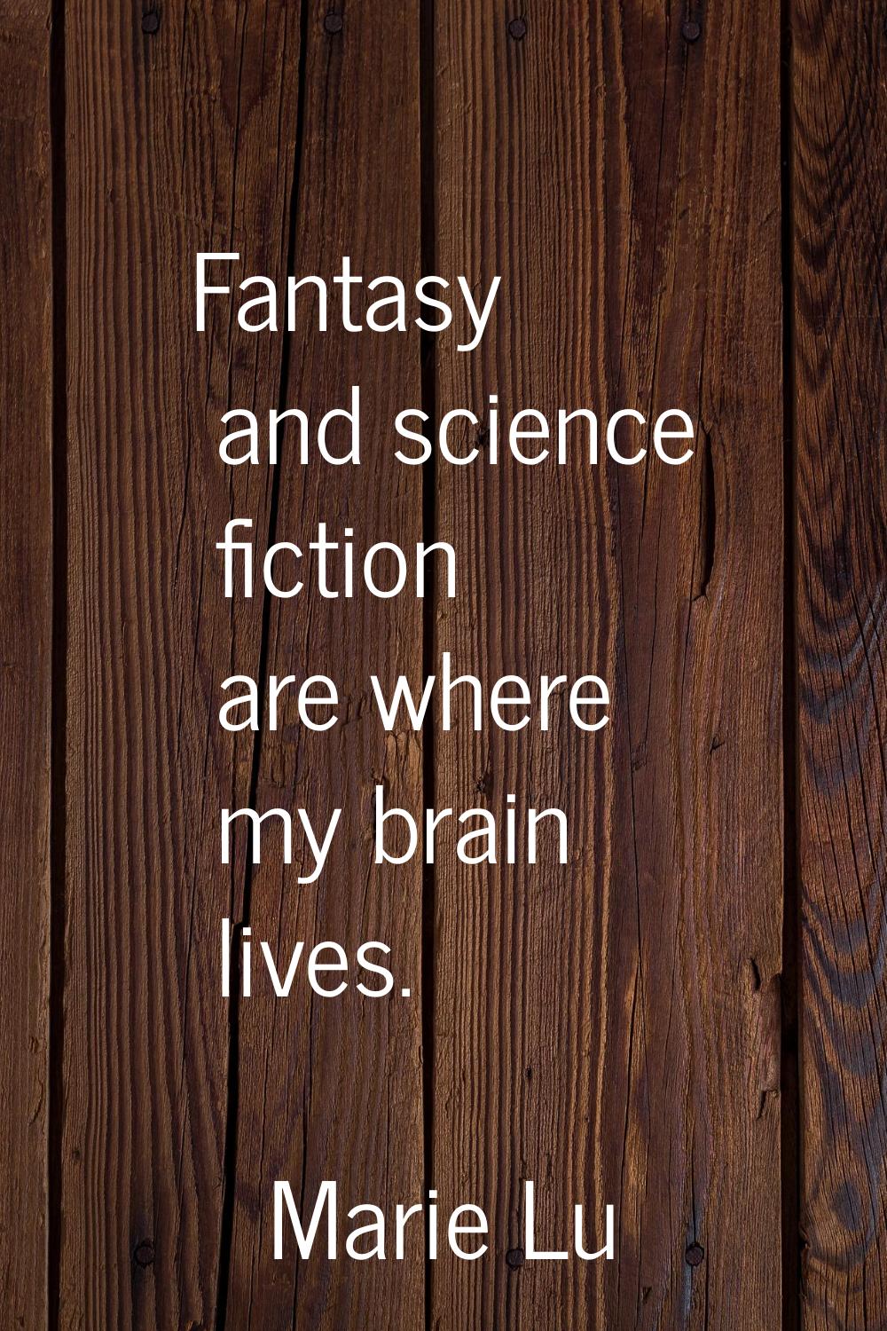 Fantasy and science fiction are where my brain lives.