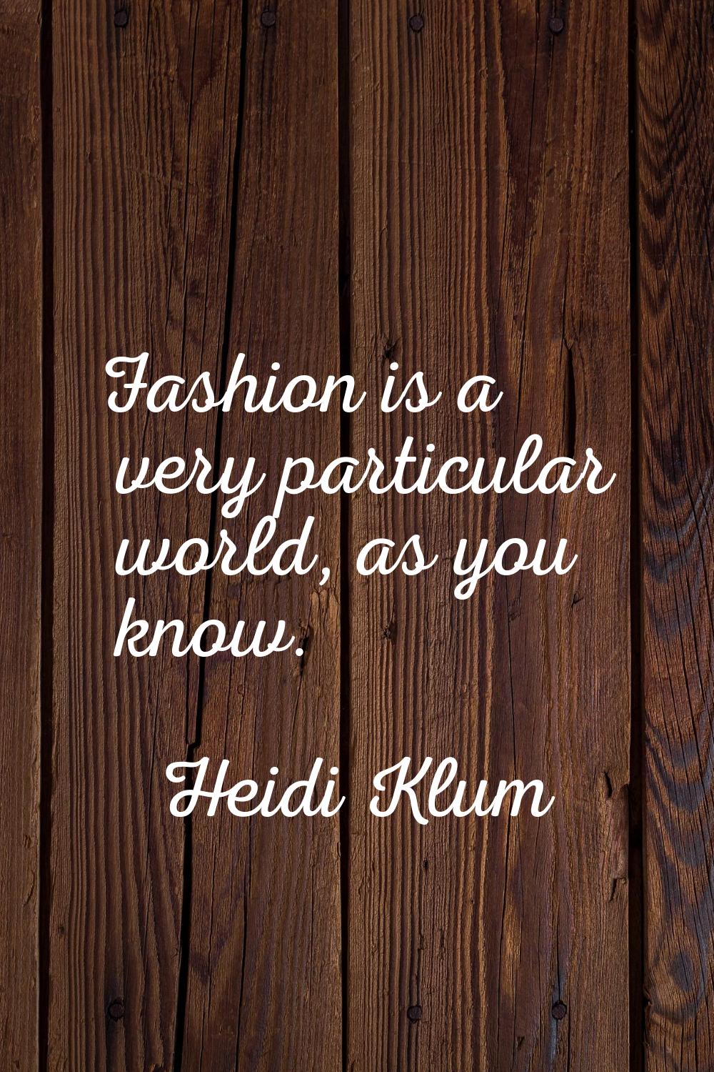 Fashion is a very particular world, as you know.