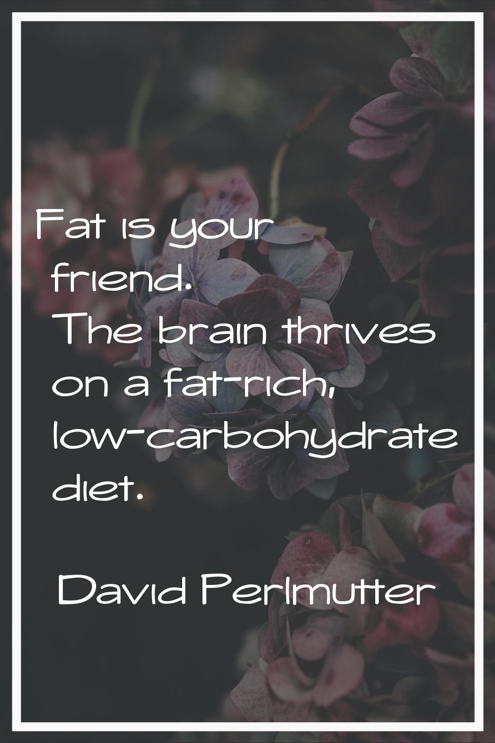 Fat is your friend. The brain thrives on a fat-rich, low-carbohydrate diet.