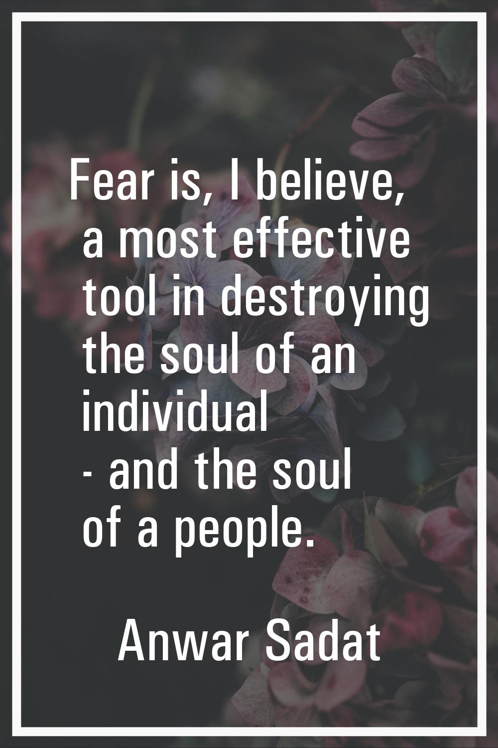 Fear is, I believe, a most effective tool in destroying the soul of an individual - and the soul of