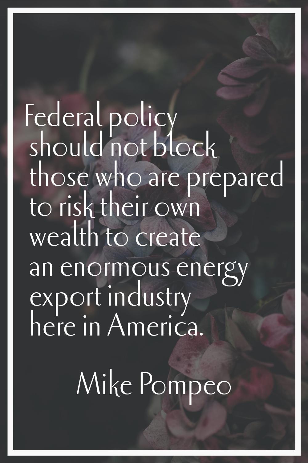 Federal policy should not block those who are prepared to risk their own wealth to create an enormo