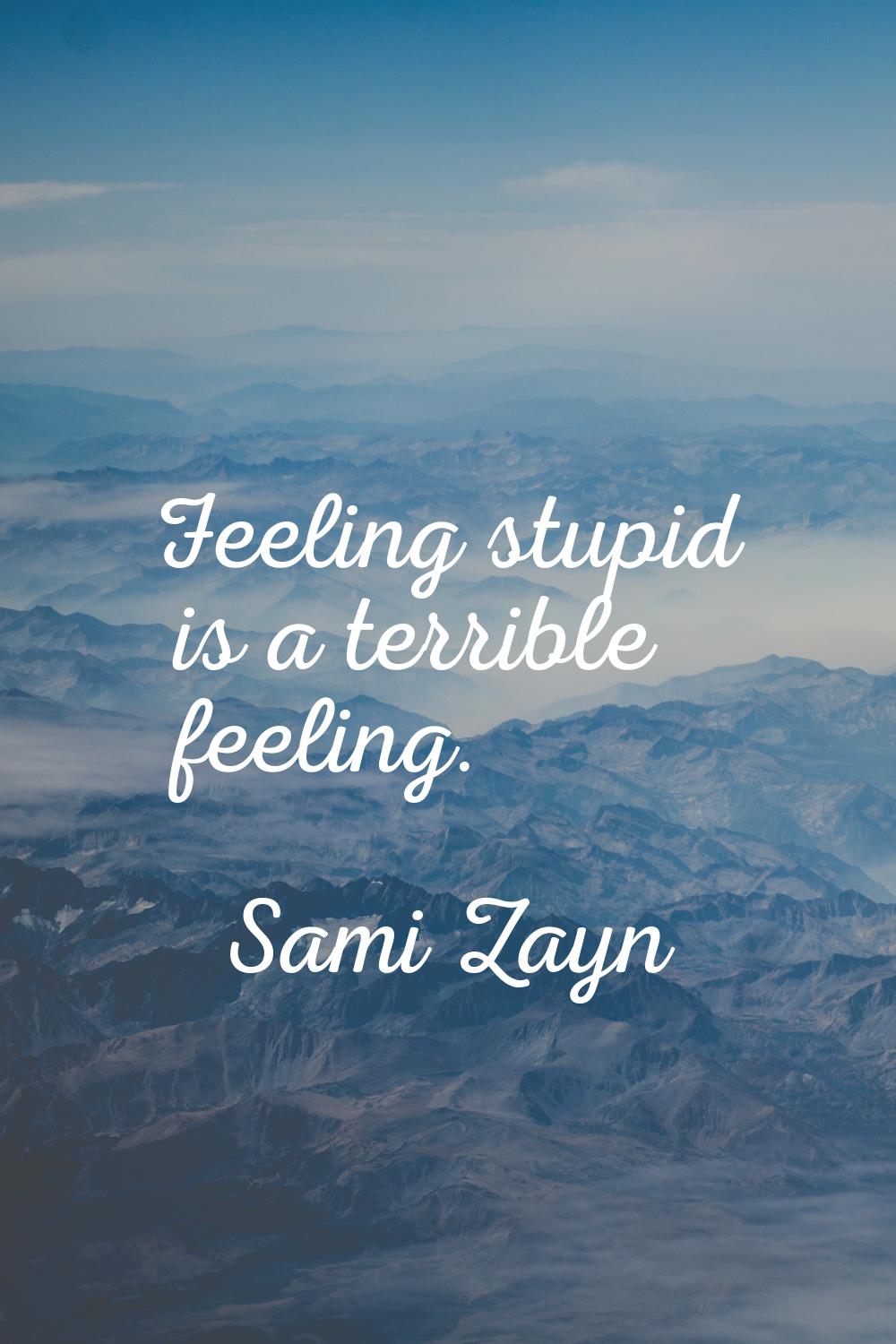 Feeling stupid is a terrible feeling.