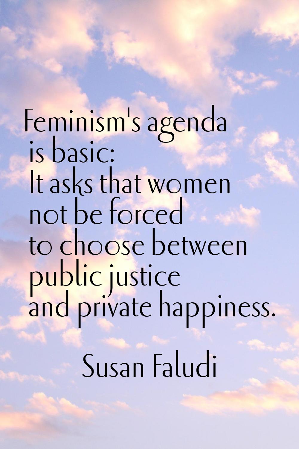 Feminism's agenda is basic: It asks that women not be forced to choose between public justice and p