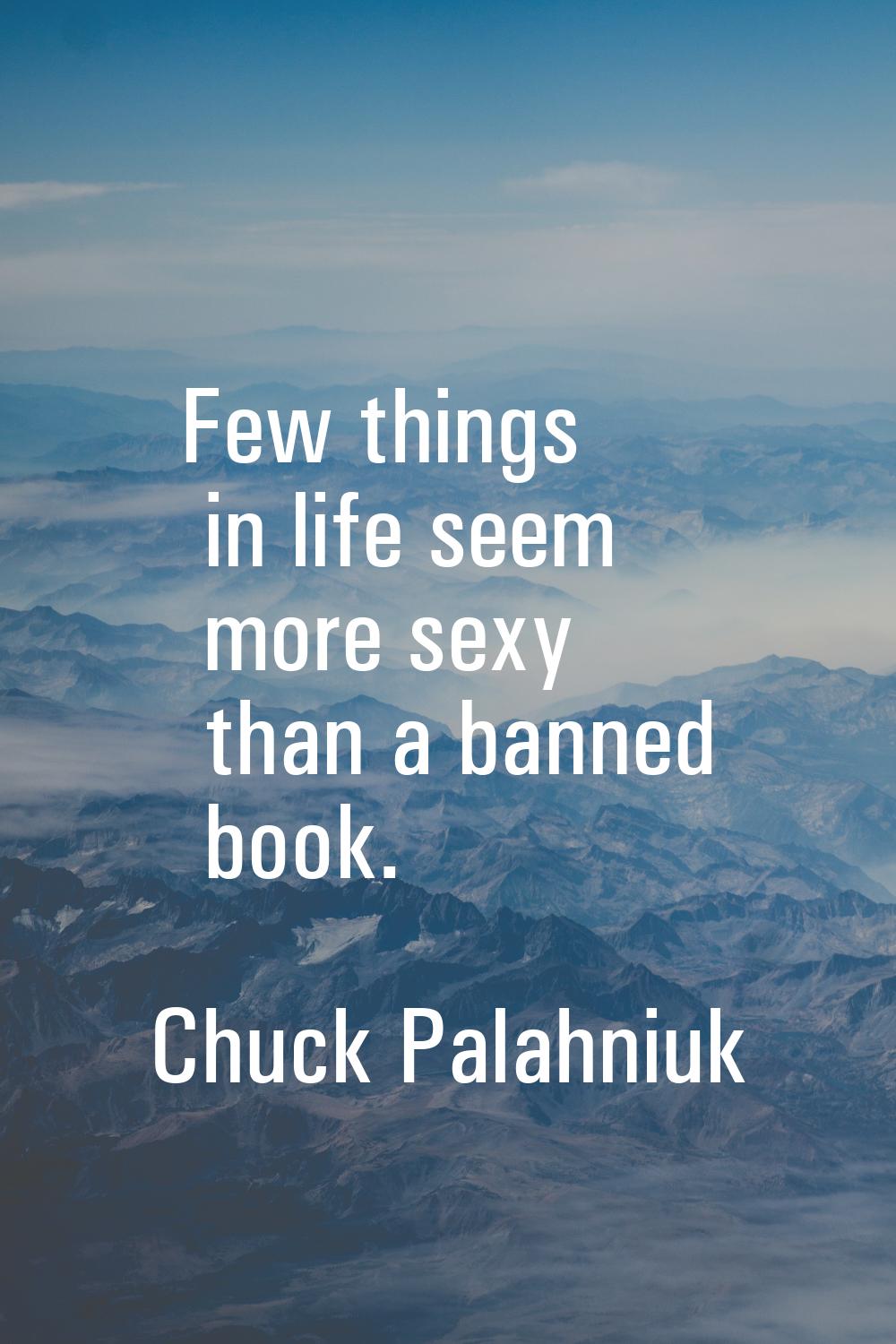 Few things in life seem more sexy than a banned book.