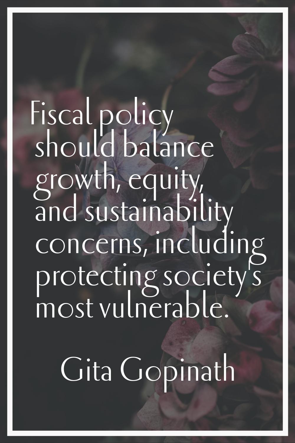Fiscal policy should balance growth, equity, and sustainability concerns, including protecting soci