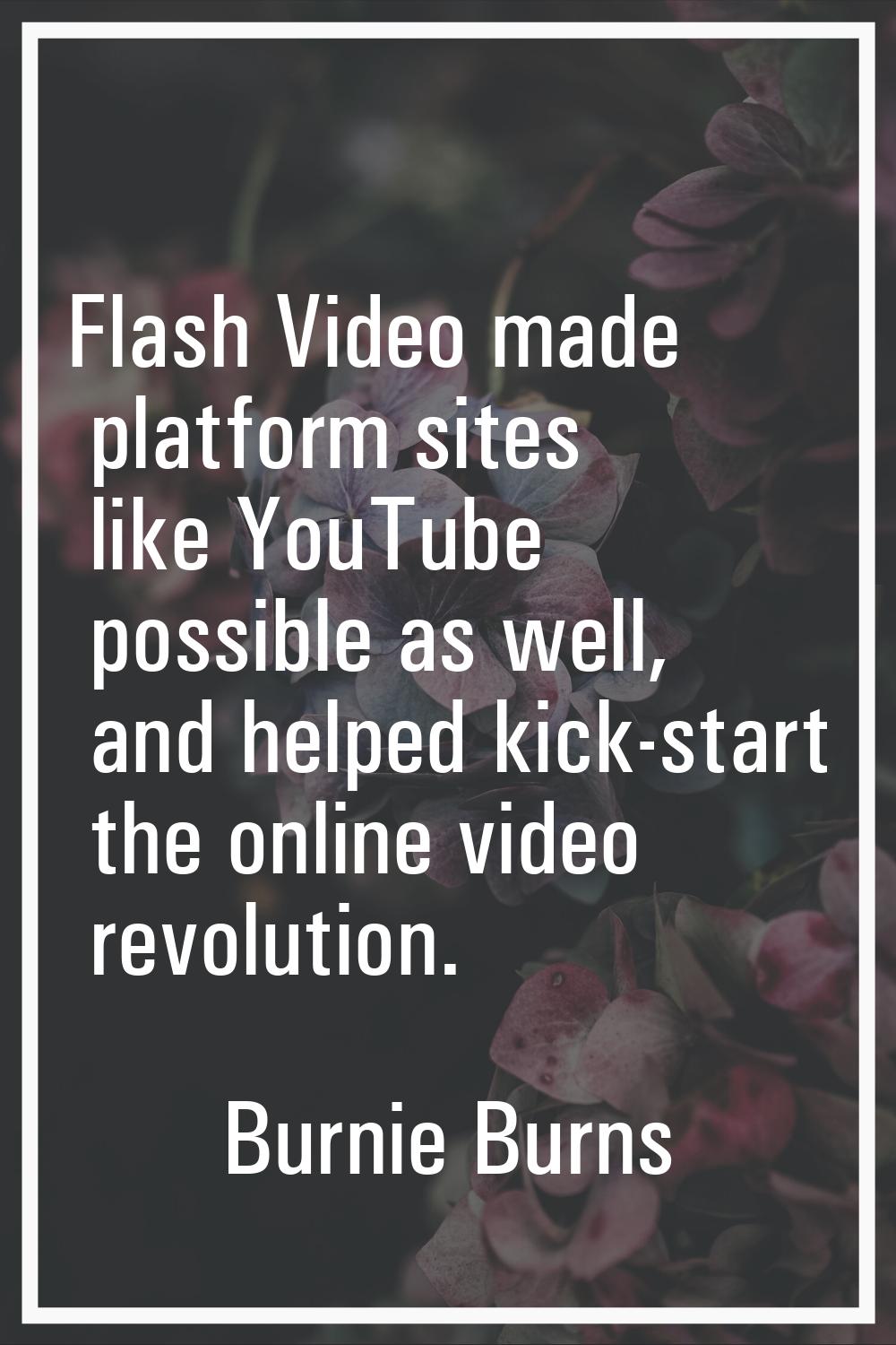 Flash Video made platform sites like YouTube possible as well, and helped kick-start the online vid