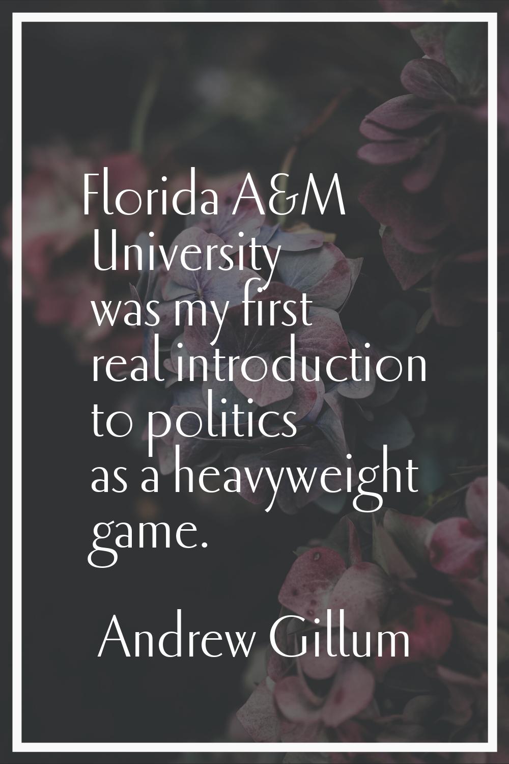Florida A&M University was my first real introduction to politics as a heavyweight game.