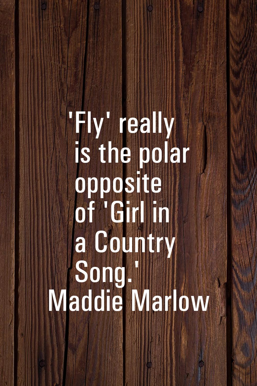 'Fly' really is the polar opposite of 'Girl in a Country Song.'
