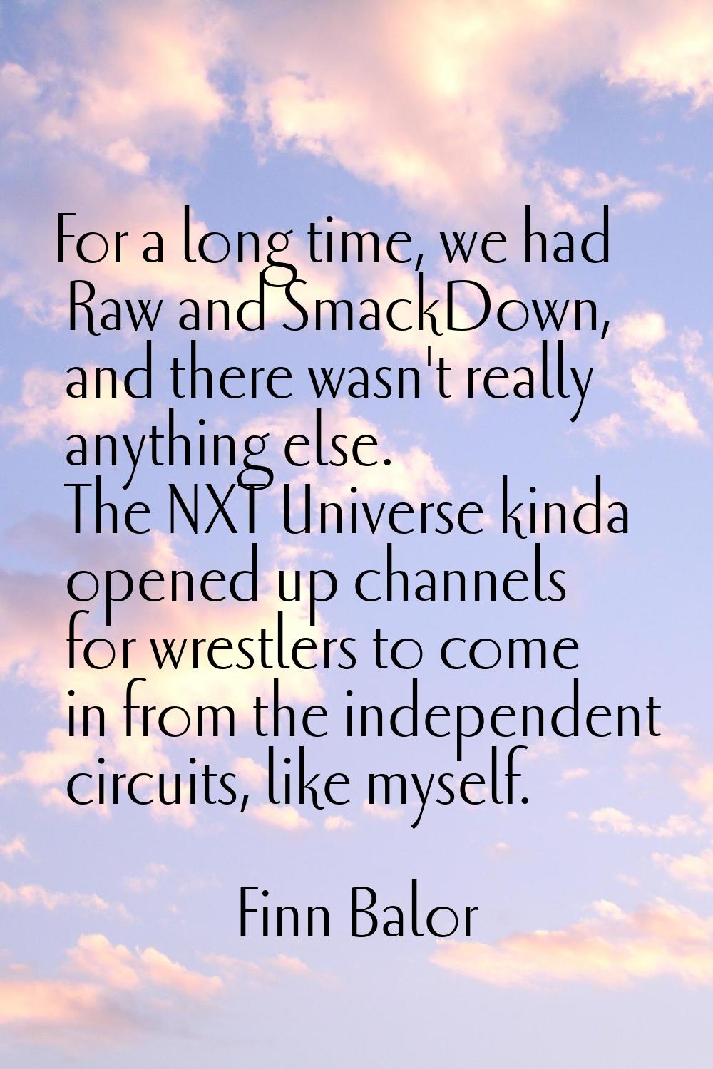 For a long time, we had Raw and SmackDown, and there wasn't really anything else. The NXT Universe 