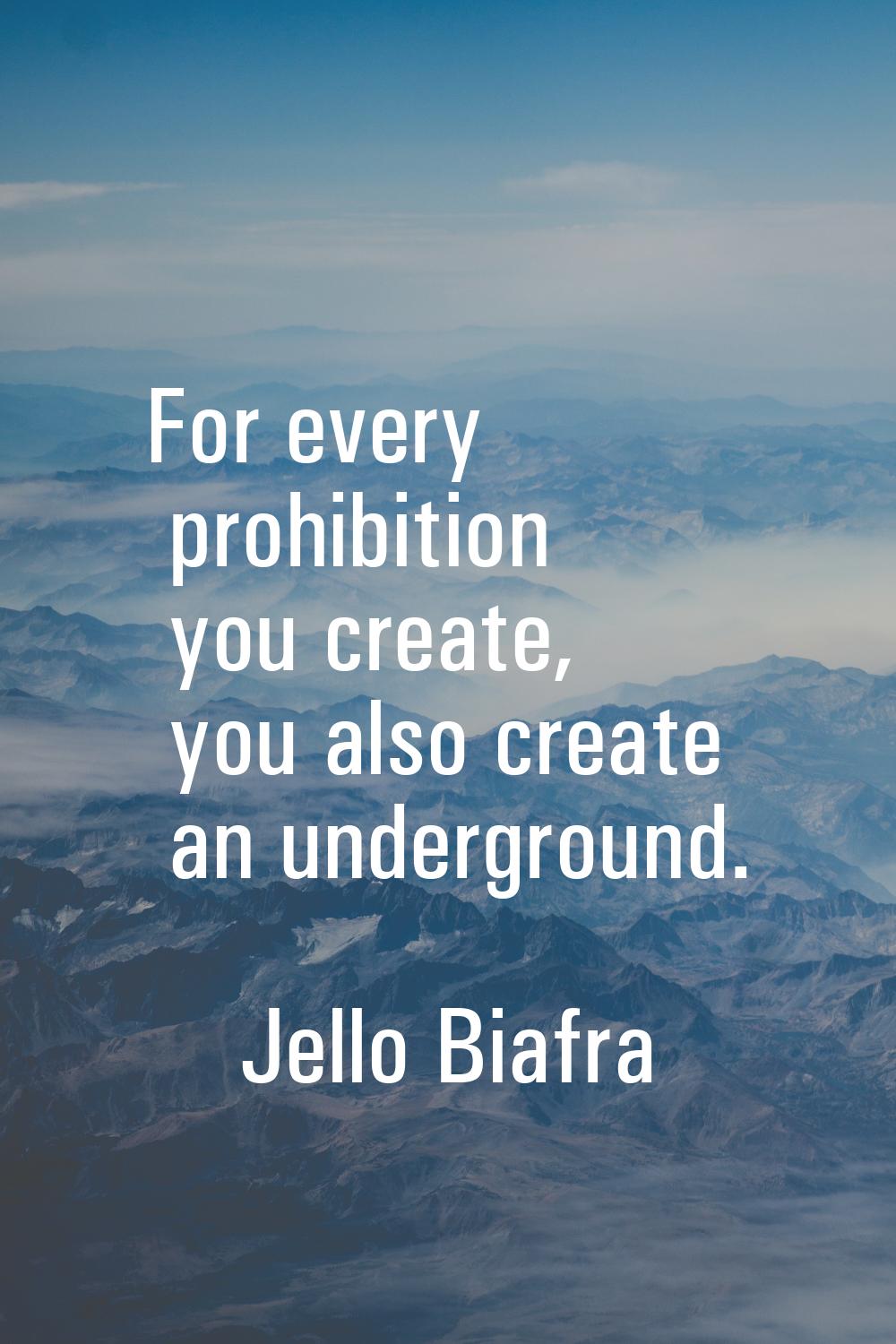 For every prohibition you create, you also create an underground.