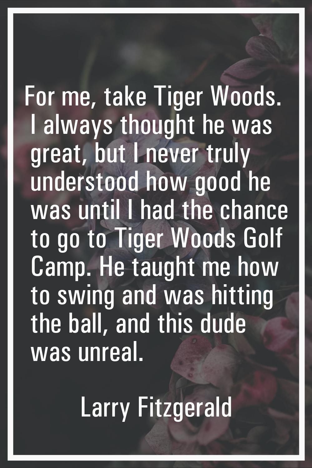 For me, take Tiger Woods. I always thought he was great, but I never truly understood how good he w