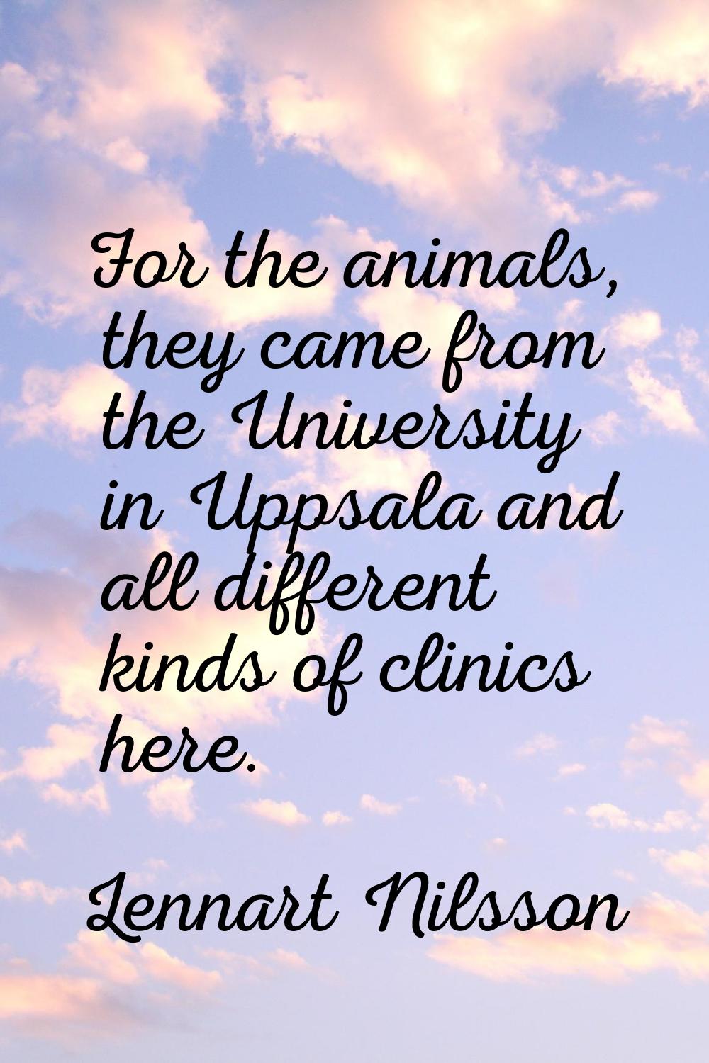 For the animals, they came from the University in Uppsala and all different kinds of clinics here.
