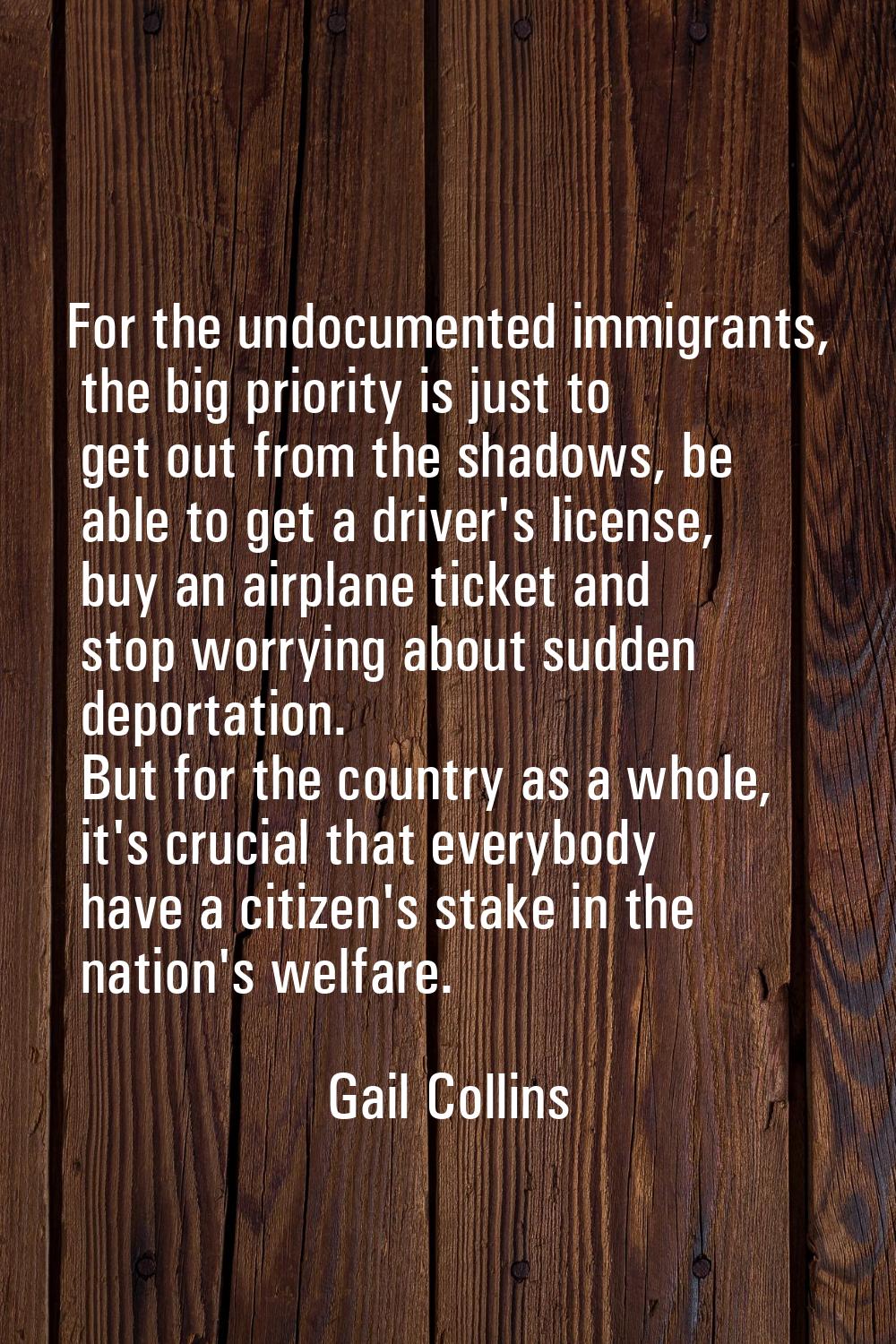 For the undocumented immigrants, the big priority is just to get out from the shadows, be able to g