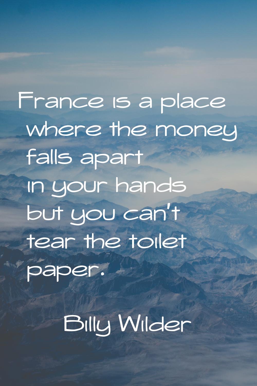 France is a place where the money falls apart in your hands but you can't tear the toilet paper.