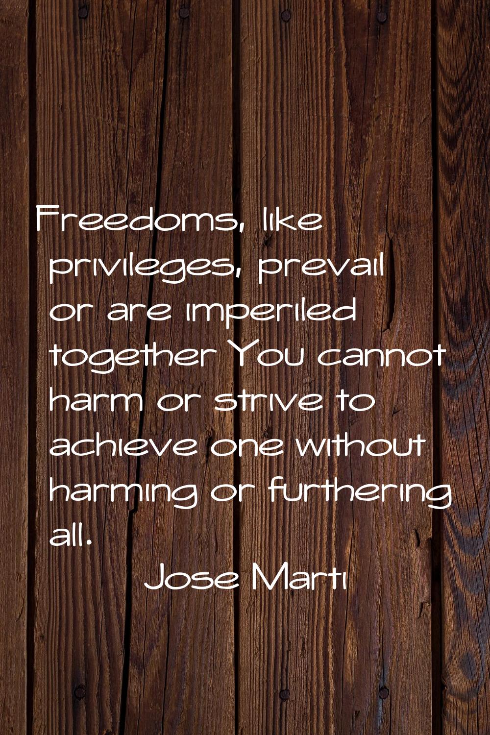 Freedoms, like privileges, prevail or are imperiled together You cannot harm or strive to achieve o