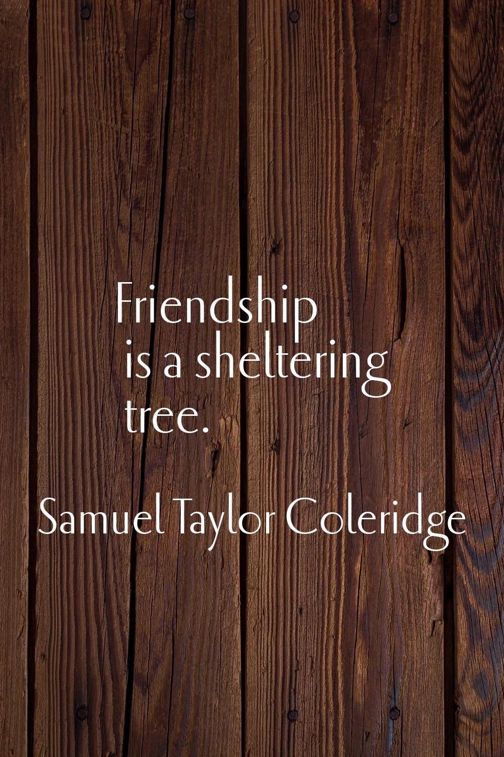 Friendship is a sheltering tree.