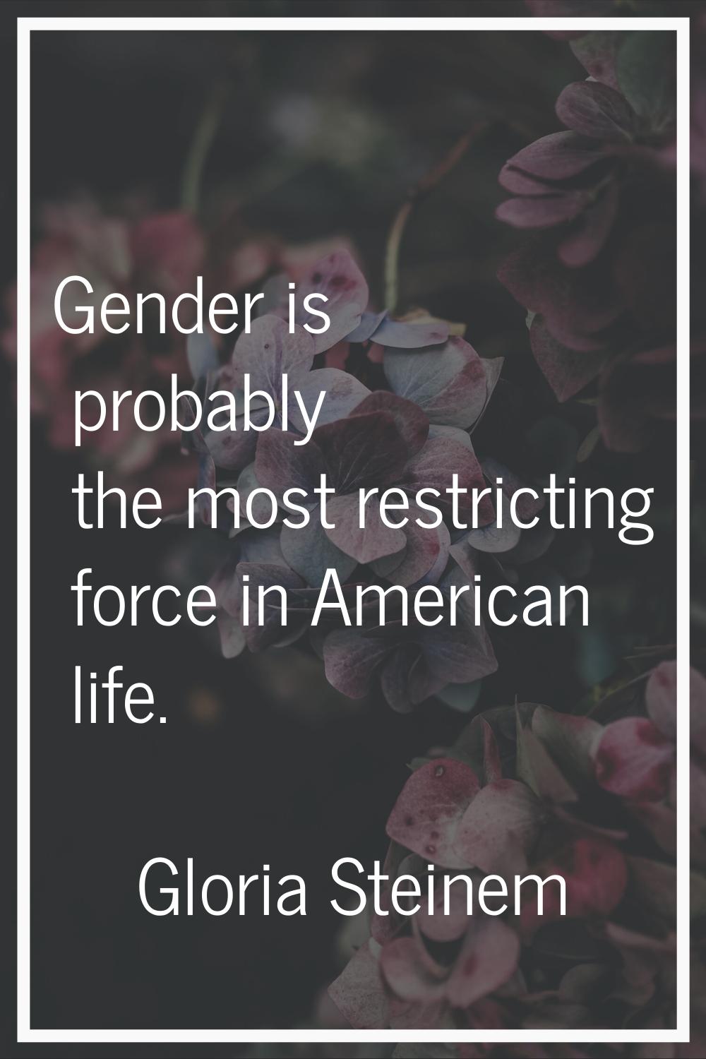 Gender is probably the most restricting force in American life.