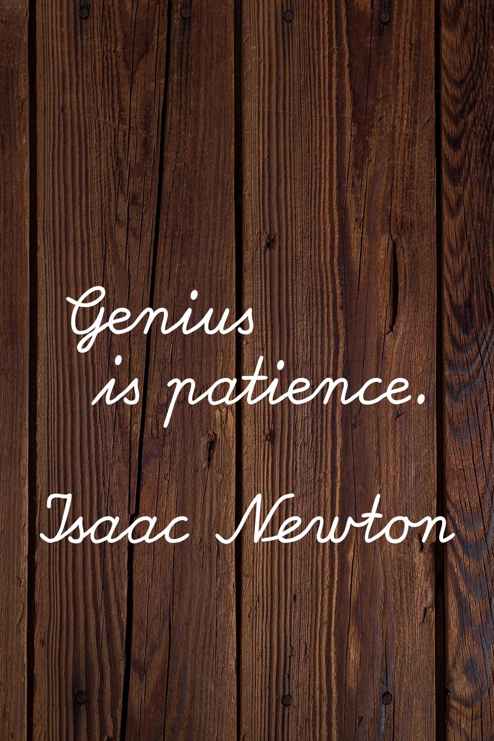 Genius is patience.