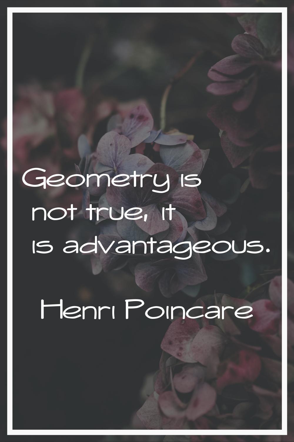 Geometry is not true, it is advantageous.