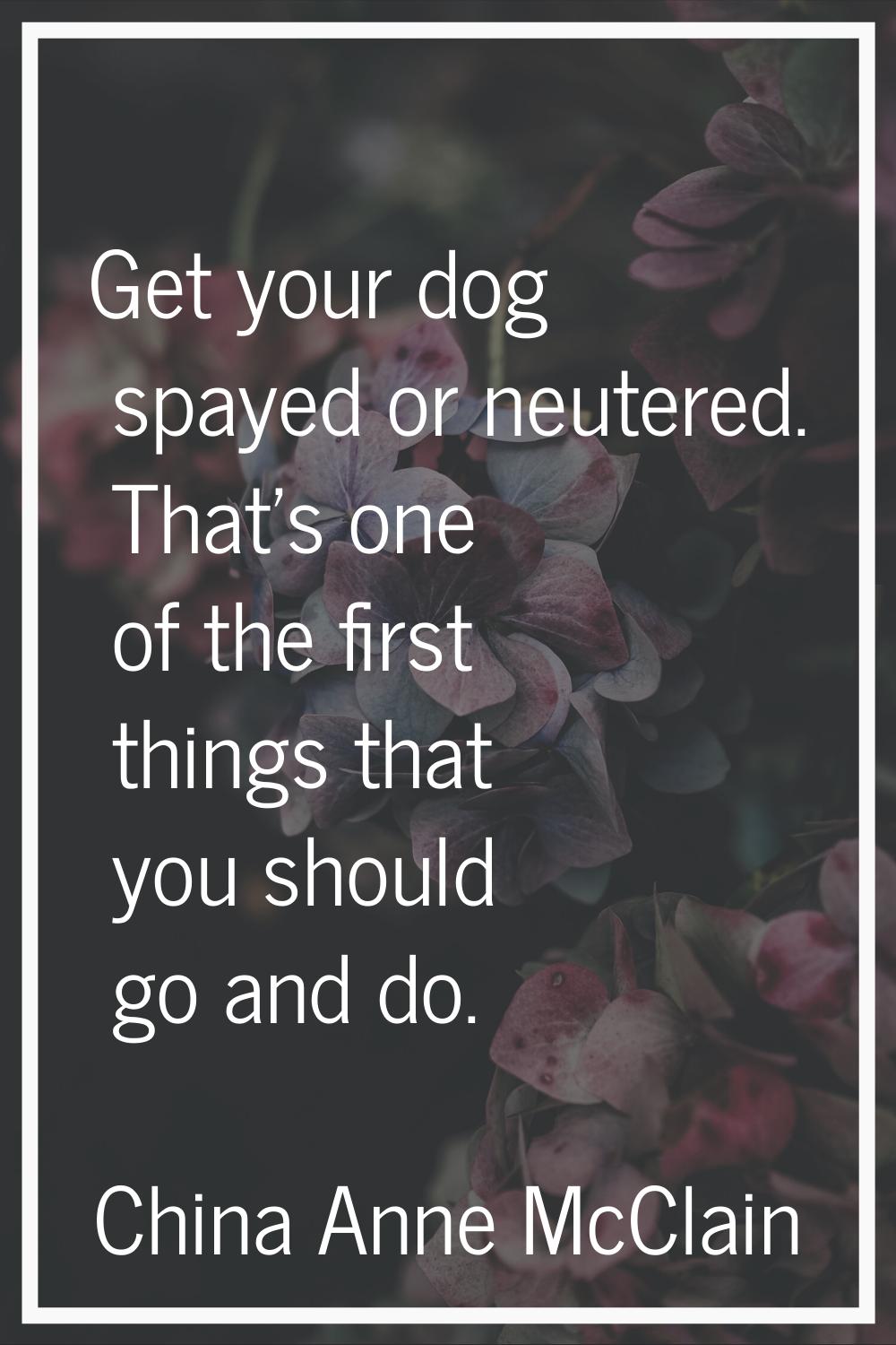 Get your dog spayed or neutered. That's one of the first things that you should go and do.