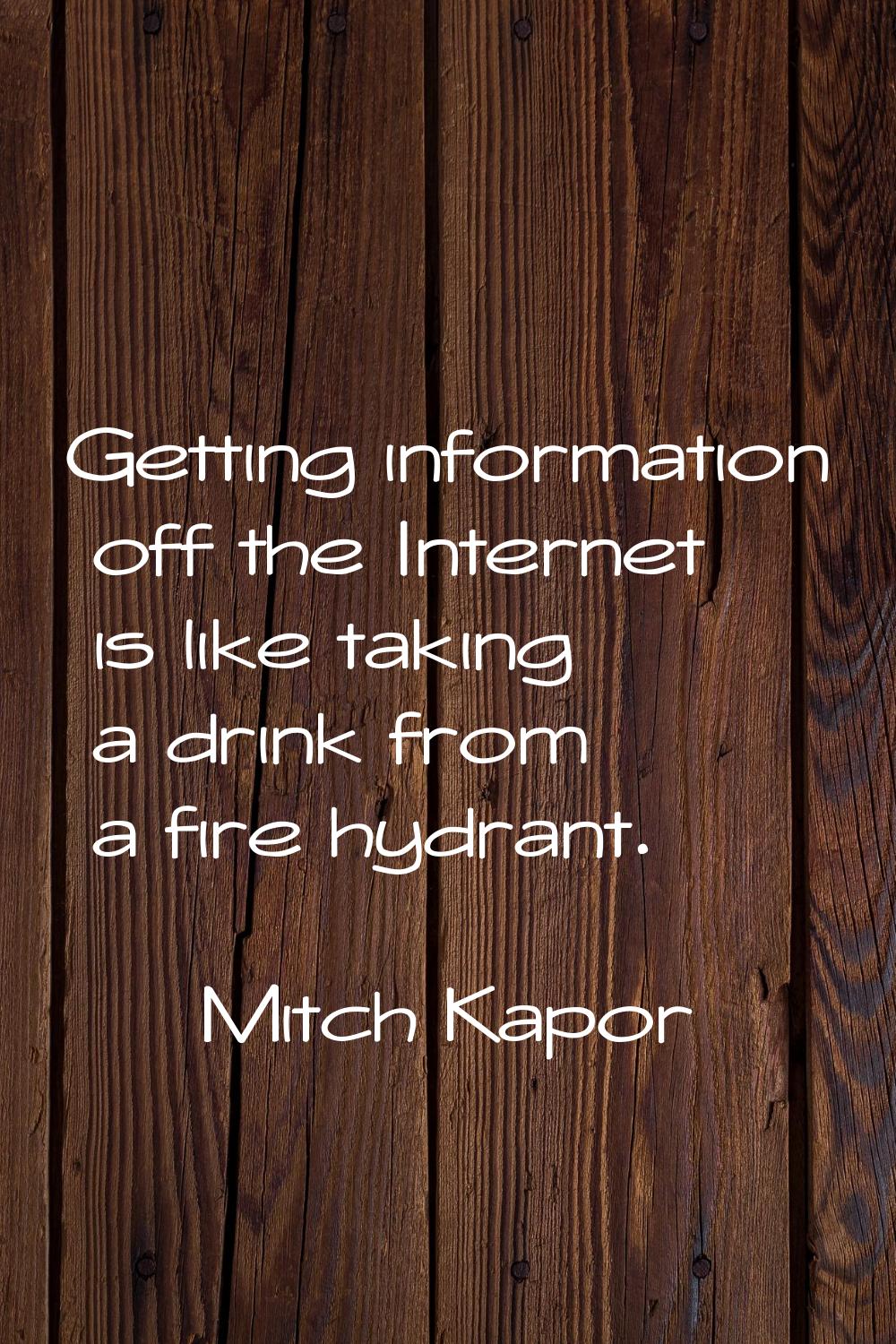 Getting information off the Internet is like taking a drink from a fire hydrant.