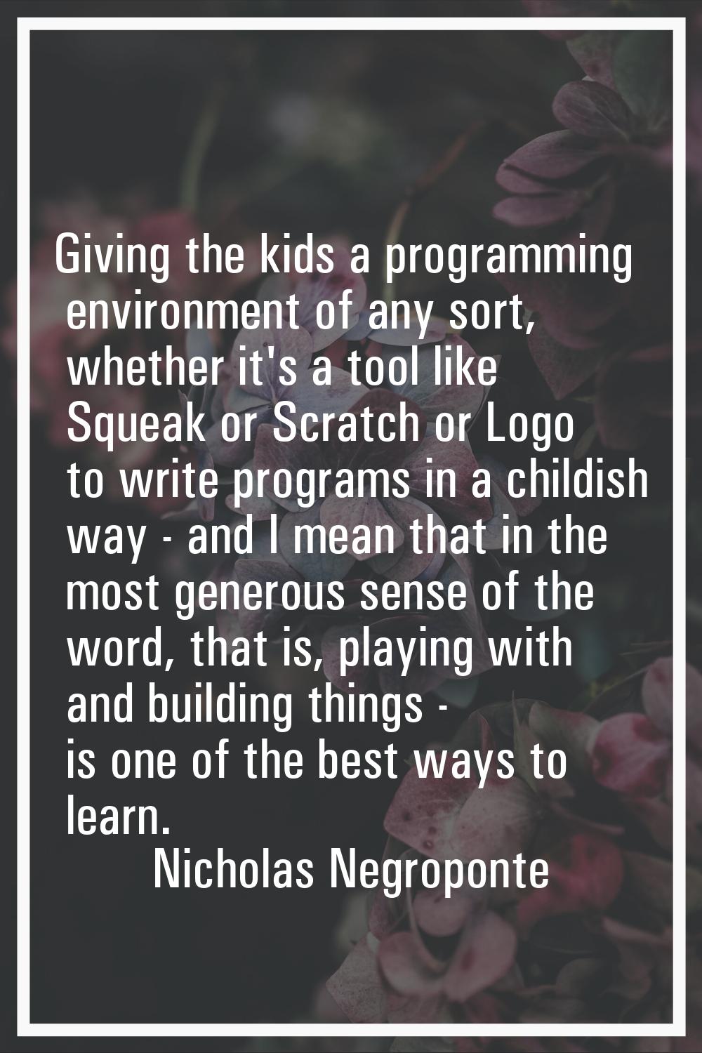Giving the kids a programming environment of any sort, whether it's a tool like Squeak or Scratch o