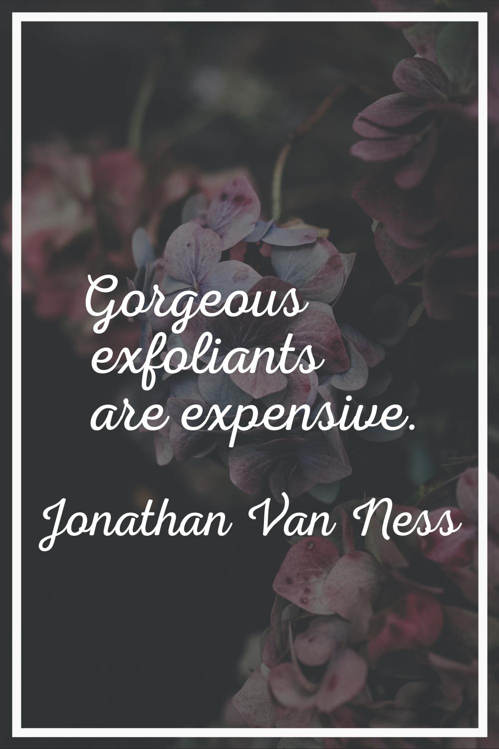 Gorgeous exfoliants are expensive.