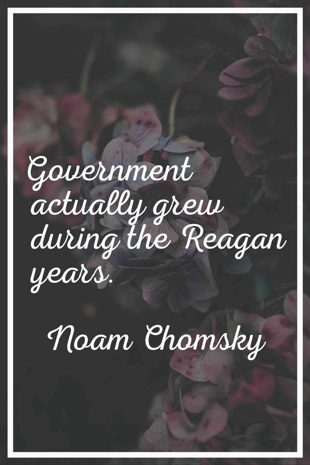 Government actually grew during the Reagan years.