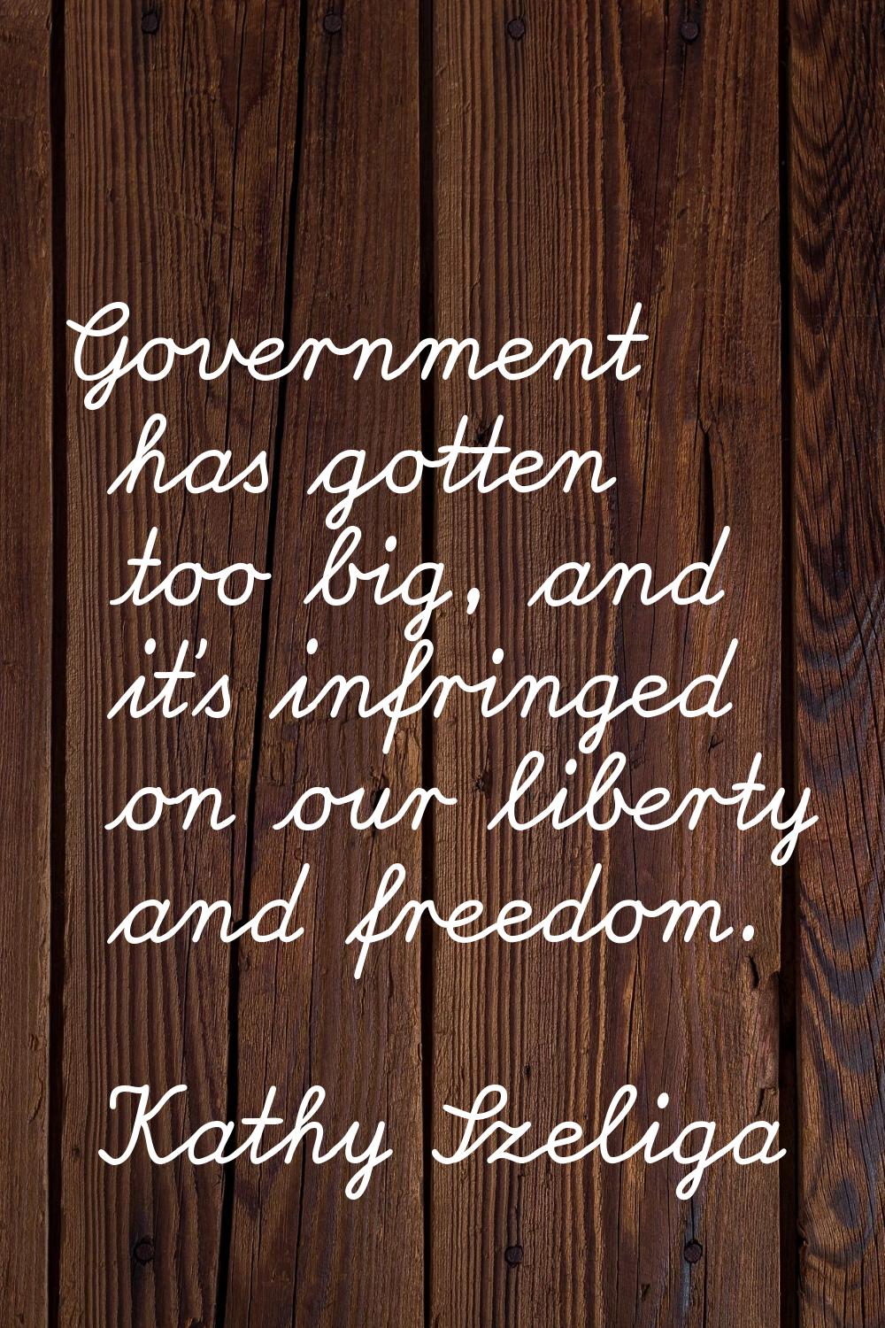 Government has gotten too big, and it's infringed on our liberty and freedom.