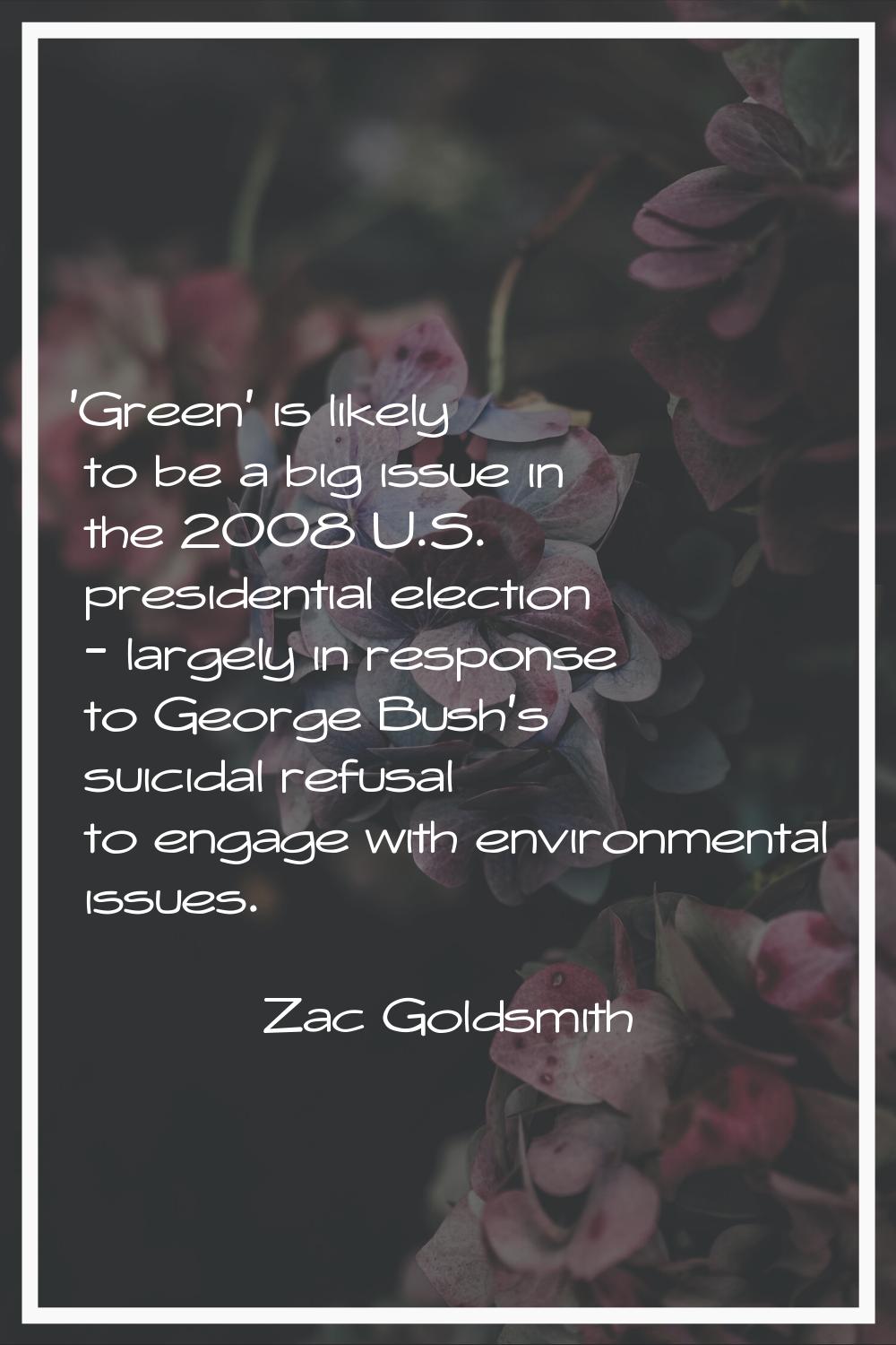'Green' is likely to be a big issue in the 2008 U.S. presidential election - largely in response to