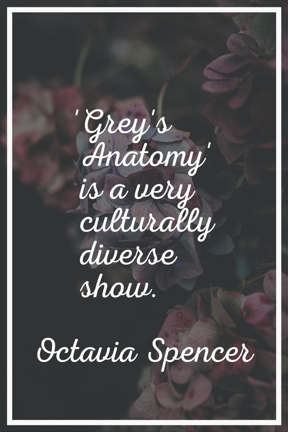 'Grey's Anatomy' is a very culturally diverse show.
