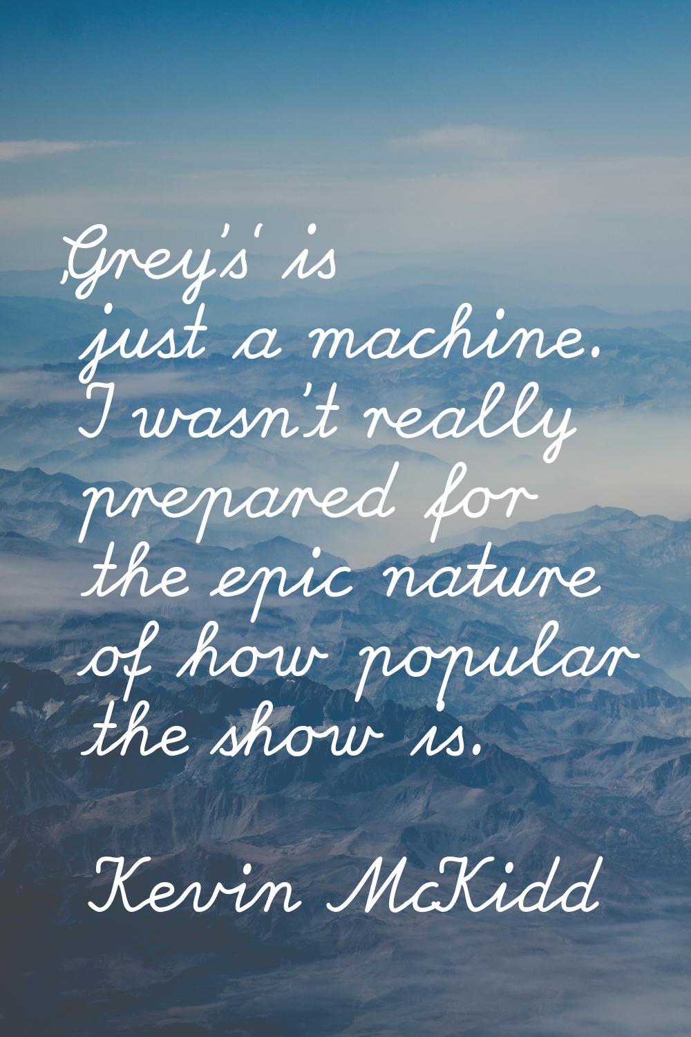 'Grey's' is just a machine. I wasn't really prepared for the epic nature of how popular the show is