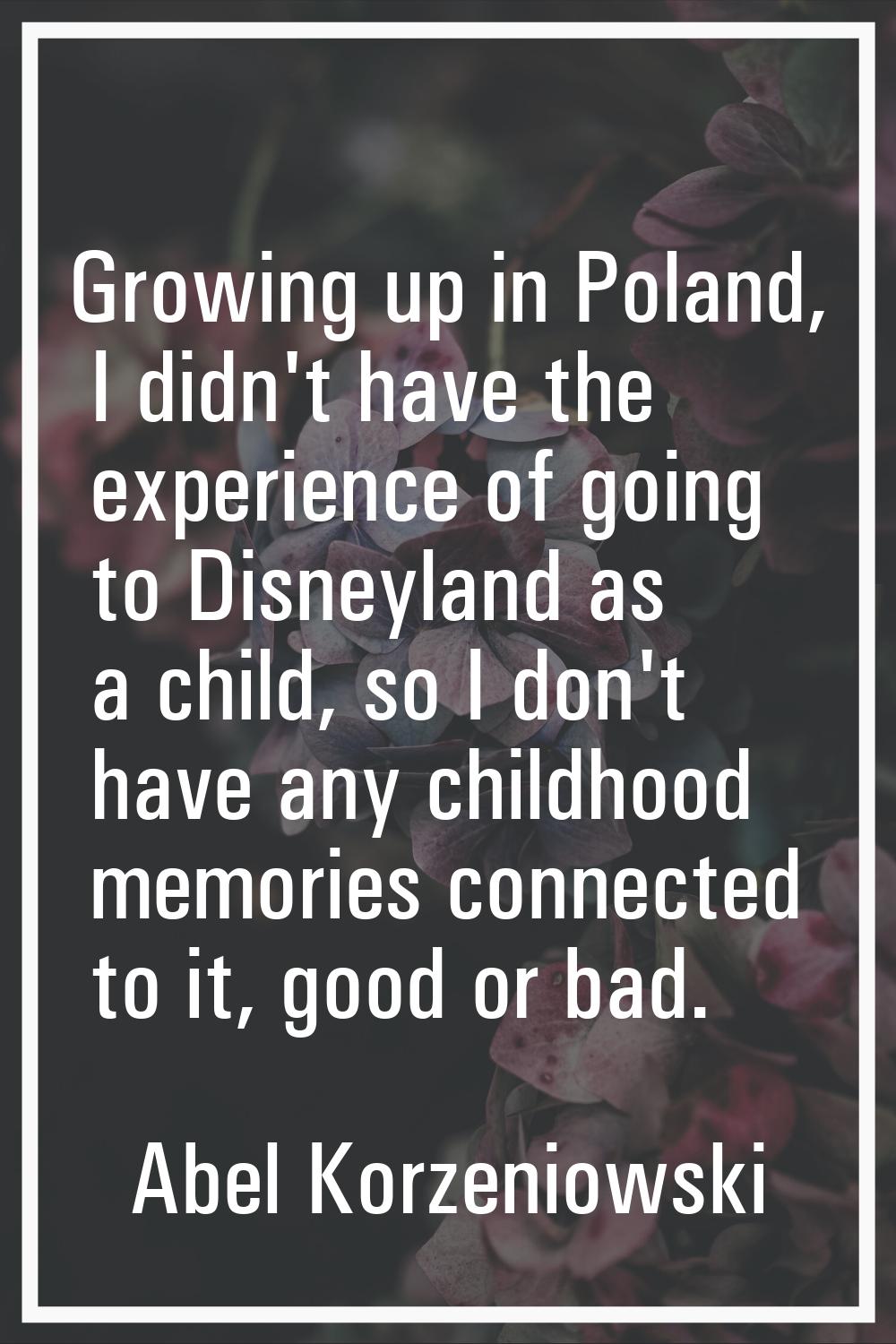 Growing up in Poland, I didn't have the experience of going to Disneyland as a child, so I don't ha