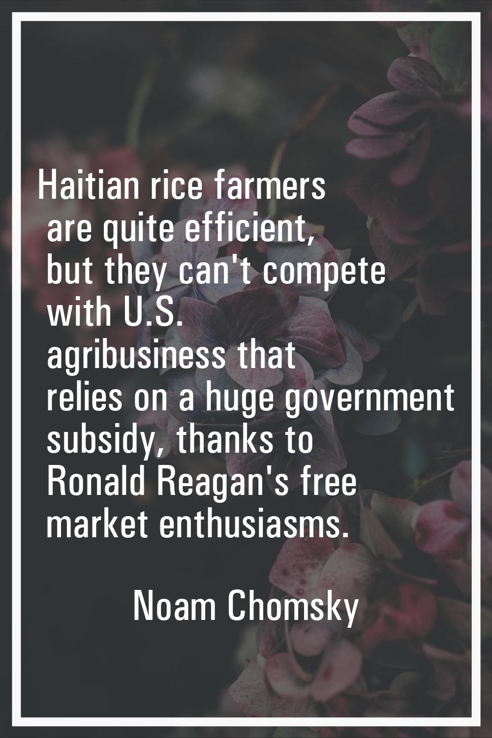 Haitian rice farmers are quite efficient, but they can't compete with U.S. agribusiness that relies