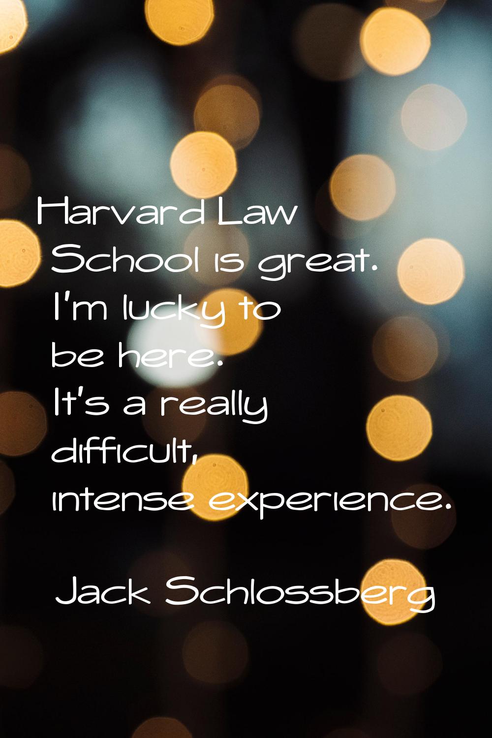 Harvard Law School is great. I'm lucky to be here. It's a really difficult, intense experience.