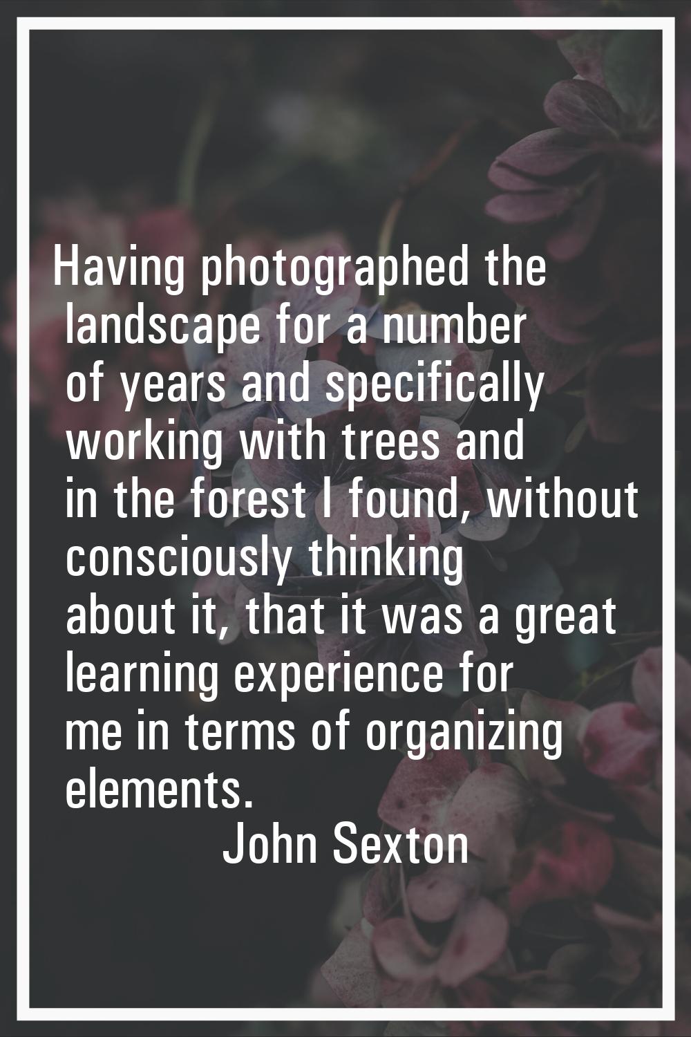 Having photographed the landscape for a number of years and specifically working with trees and in 