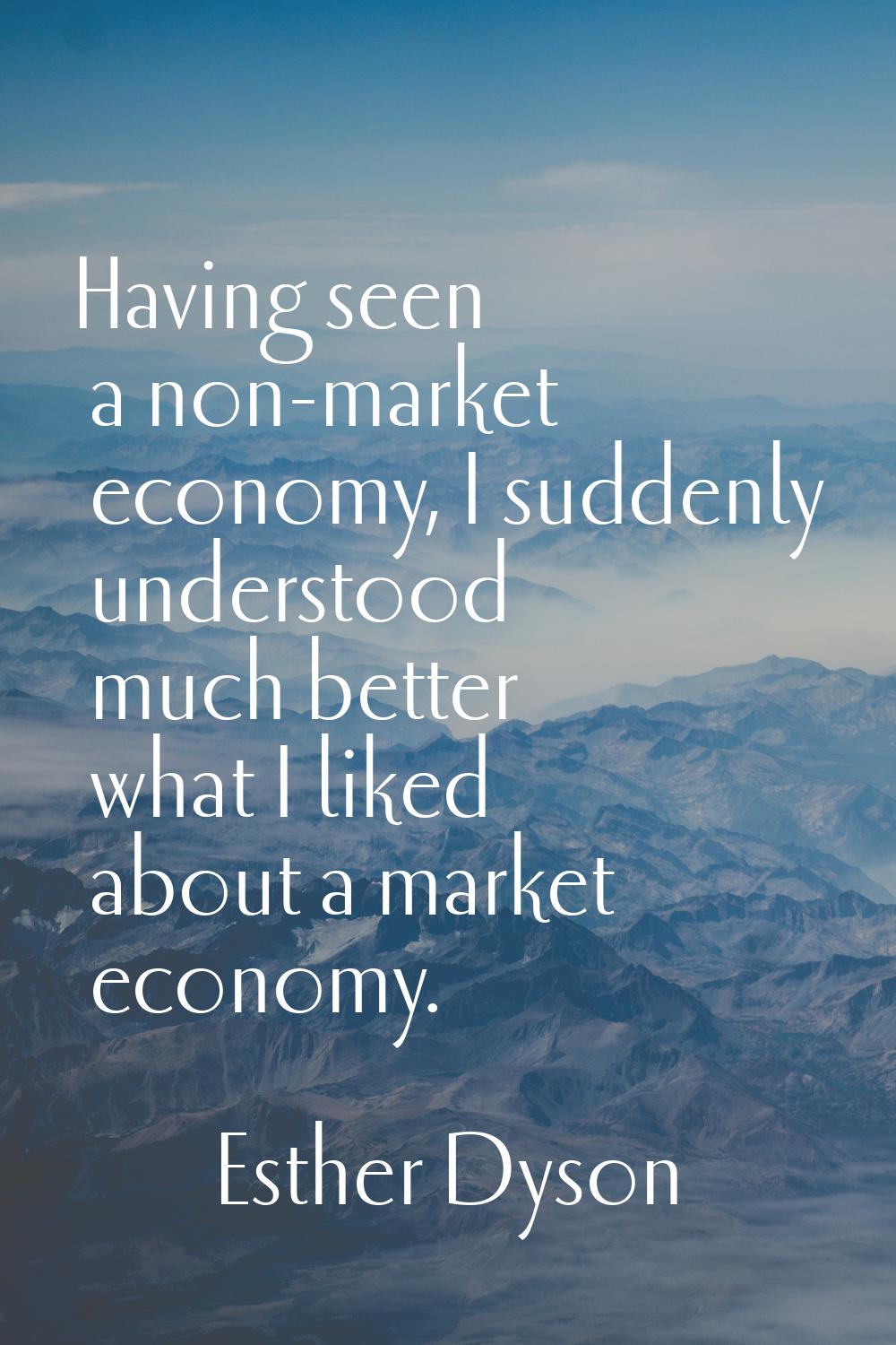 Having seen a non-market economy, I suddenly understood much better what I liked about a market eco