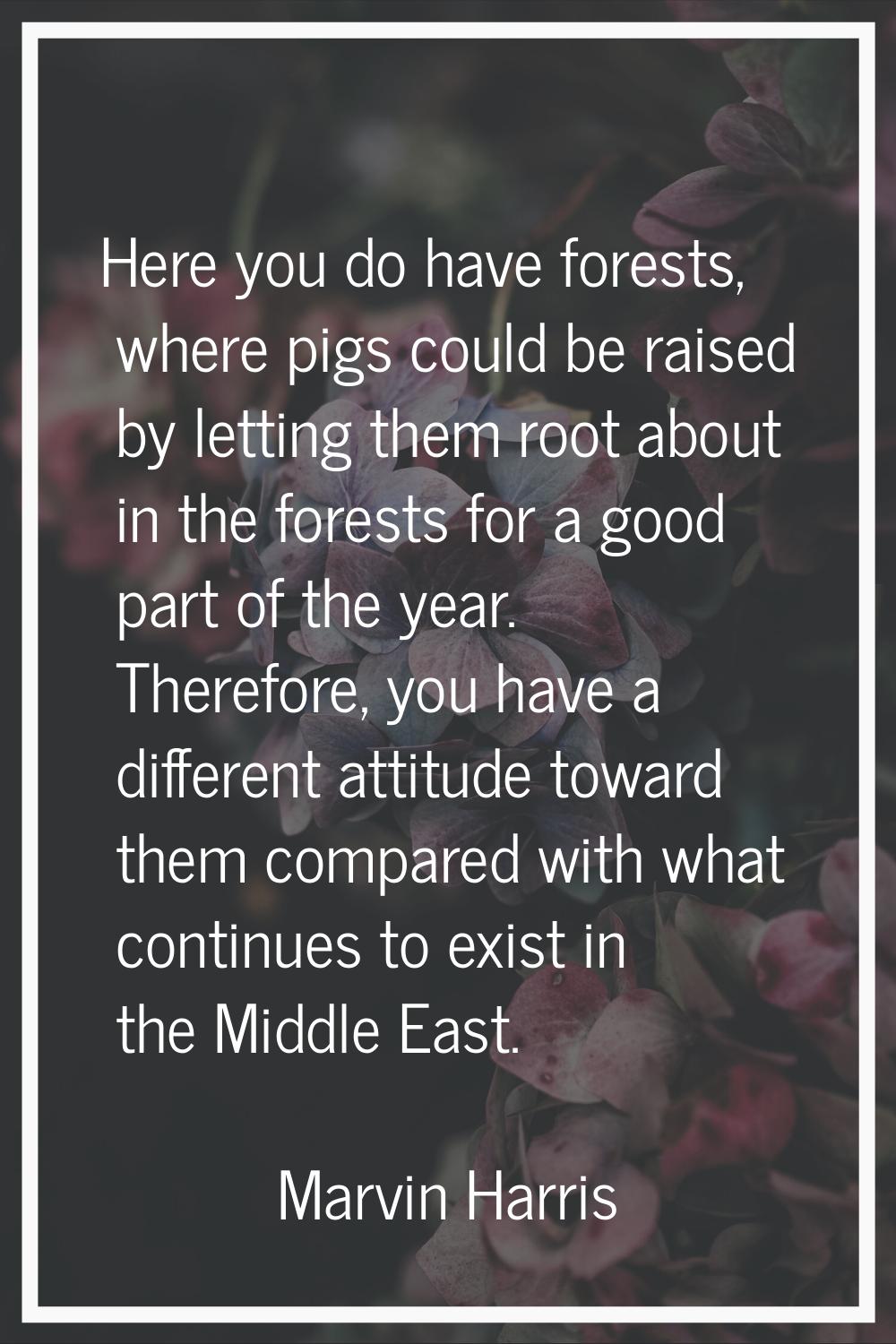 Here you do have forests, where pigs could be raised by letting them root about in the forests for 