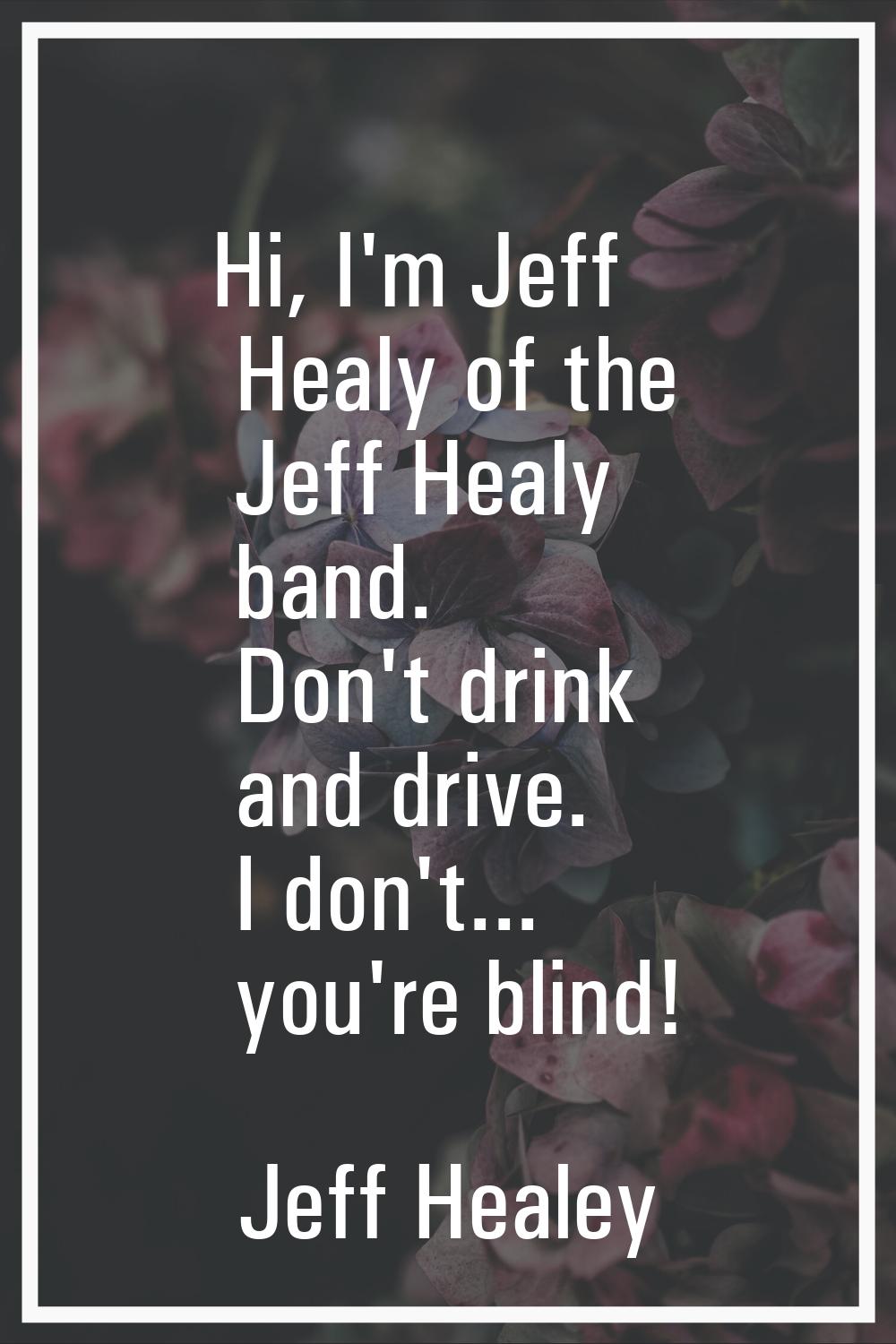 Hi, I'm Jeff Healy of the Jeff Healy band. Don't drink and drive. I don't... you're blind!