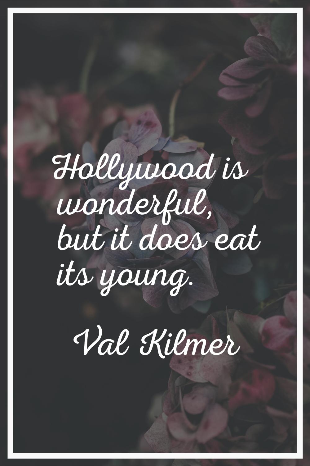 Hollywood is wonderful, but it does eat its young.