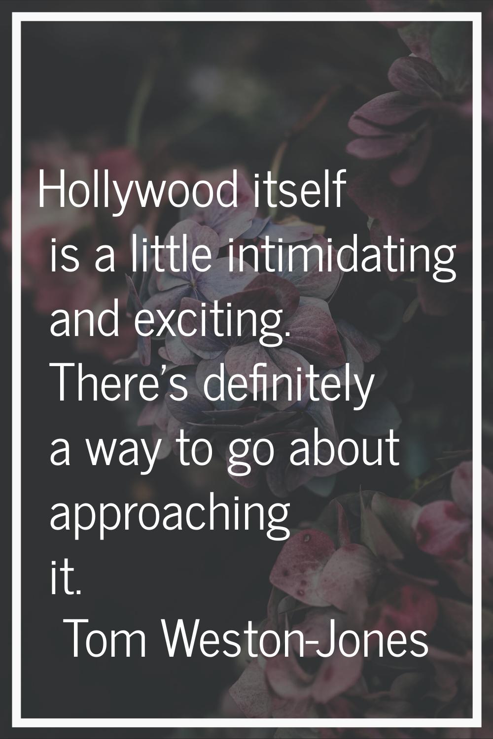 Hollywood itself is a little intimidating and exciting. There's definitely a way to go about approa
