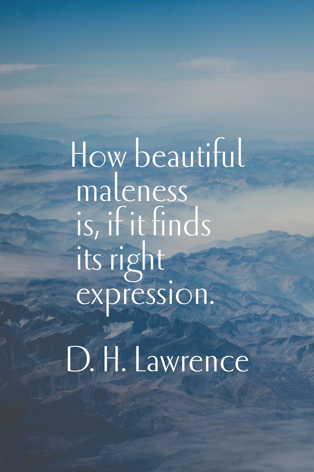 How beautiful maleness is, if it finds its right expression.