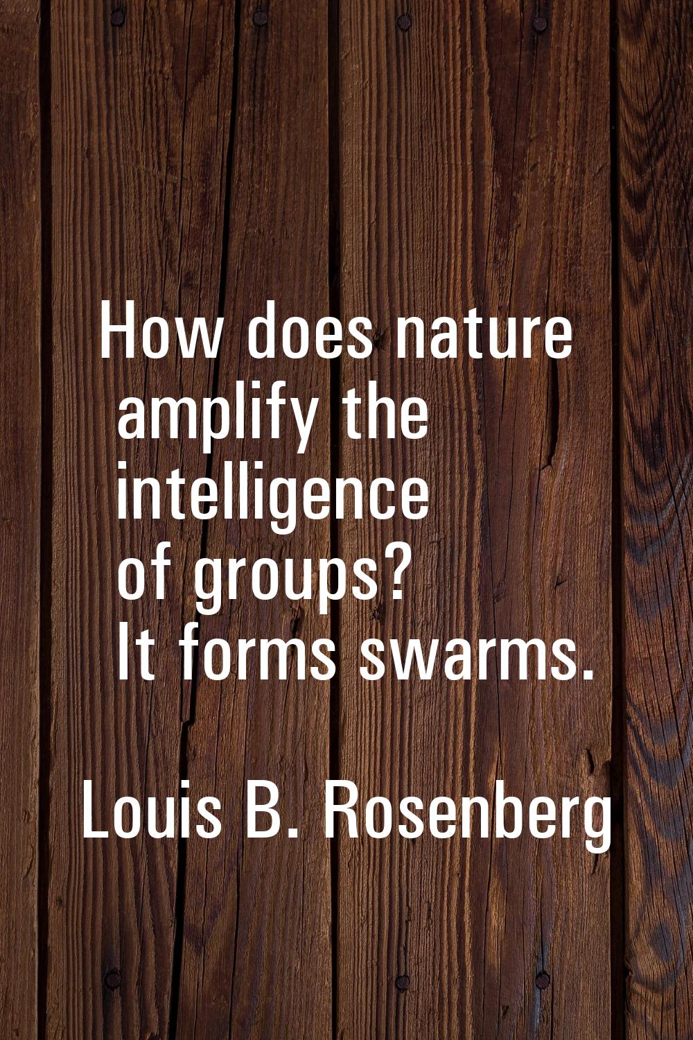 How does nature amplify the intelligence of groups? It forms swarms.